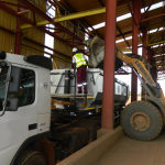 Z WIELBŁĄDEM W ŚWIAT