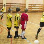 Z wielbłądem na boisku